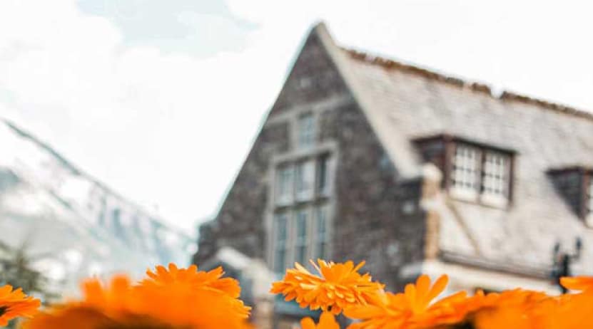 House in the background with orange flowers in the foreground, symbolizing home and mortgage topics related to divorce.