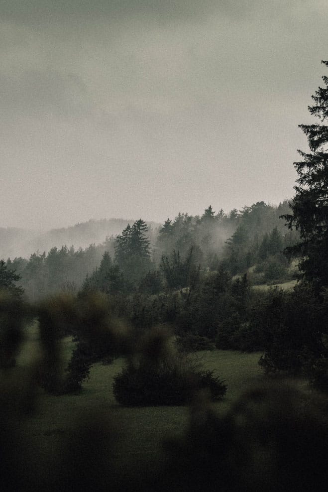 Misty landscape with trees and rolling hills, reflecting the complexities of real estate investing and market research.